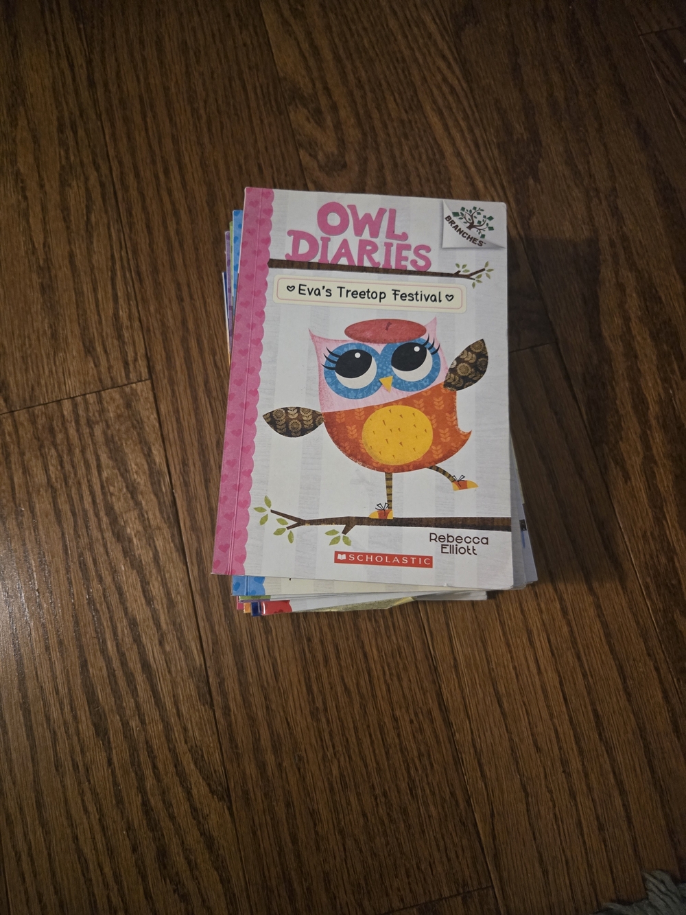 Scholastic Owl Diaries Books 1-9 , 11-13